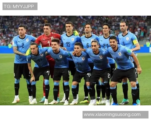 足球明星拼图大合照展现绿茵场上的传奇瞬间与辉煌时刻